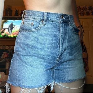 Embroidered Jean Shorts